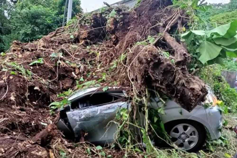 Dua maut kejadian pokok tumbang di Ampang