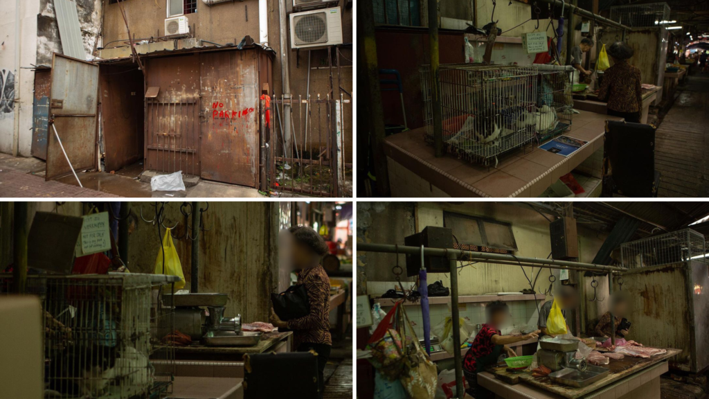 Netizen bengang jurugambar saja cari publisiti murahan dakwa Petaling Street jual daging kucing